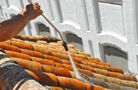 Nettoyage de toitures - Signy-le-Petit